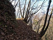 47 Sentiero ricoperto da tappeto di foglie